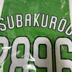 2025 燕パワーアップグレード つば九郎