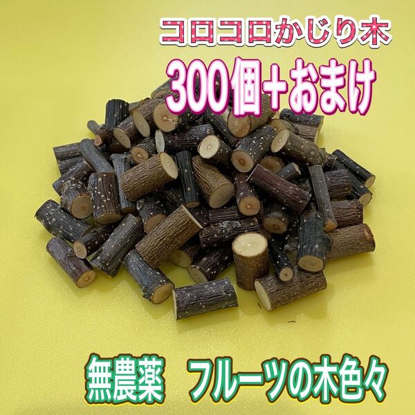 コロコロかじり木 300個+おまけ 無農薬 フルーツの木