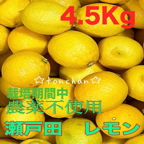 国産 瀬戸田レモン