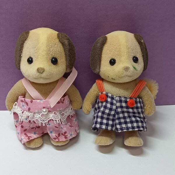シルバニア イヌ 男の子 女の子