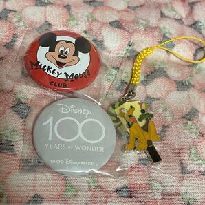 ディズニー ストラップ&缶バッジセット