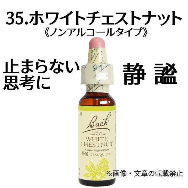 35.ホワイトチェストナット(10ml)グリセリンベースフラワーエッセンスノンアルコールフラワーエッセンスNelsonBach社