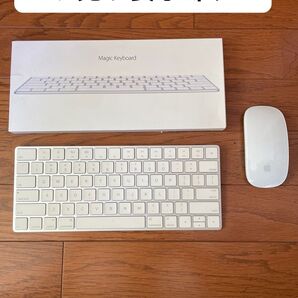 Apple MagicKeyboard(US) MagicMouse2 iPad