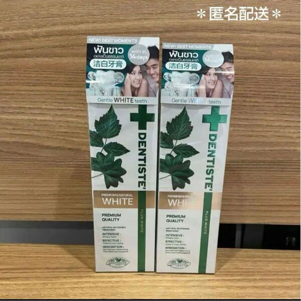 【新品未使用】新デンティス プレミアム ホワイト歯磨き粉チューブタイプ 100g 2本セット