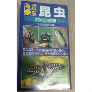 ポケット図鑑 昆虫