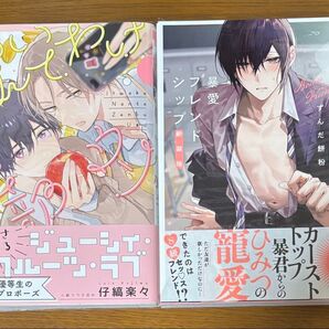 BL漫画 いろいろ バラ売り可能 12ページまであり