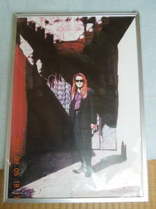 Toshl 額入りポートレート 未開封 /Toshi Solo Tour ’95 GRACE -The 3rd Anniversary- / X JAPAN