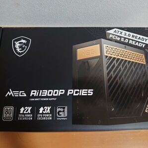 MSI MEG 1300w