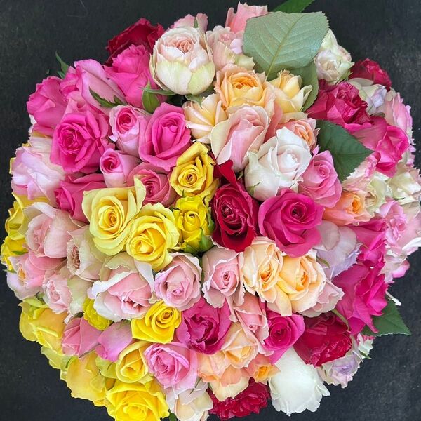新商品!!短めバラ 《切り花 生花 》おまかせMIX 20㎝100本 産地直送!鮮度抜群! 花束 薔薇