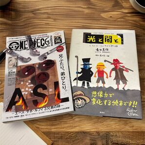 ワンピース マガジン & 光と闇と
