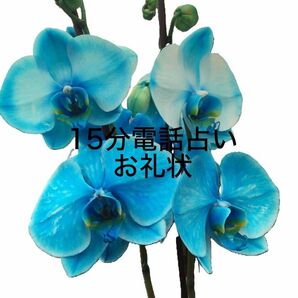 【電話占い15分】+【匿名配送:お礼状】