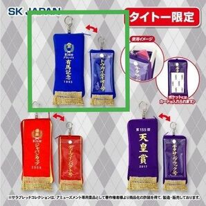 サラブレッドコレクション 優勝レイ ダイカットカードケース〈トウカイテイオー〉