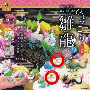 ひょっこり雛龍 北風(あなじ) 晴天(せいてん)だいきょ屋コレクション スタジオソータ