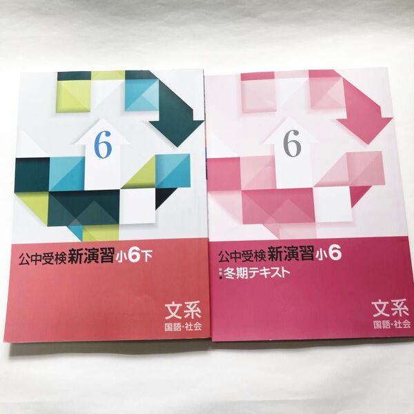 文系(国語、社会) 公中受検新演習小6下 冬期テキスト 2冊セット 中学受験 適性検査 公立中高一貫 問題集