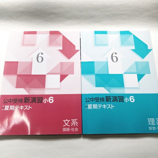 公中受検新演習小6 夏期テキスト 文系・理系 2冊セット 公立中高一貫 中学受験 問題集