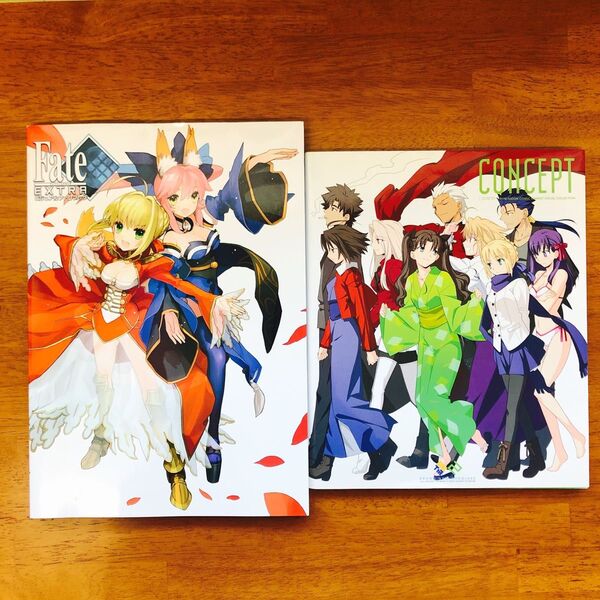 フェイト/エクストラビジュアルファンブック TYPE-MOON C75イラスト fate 画集 CONCEPT 2冊 まとめ売り