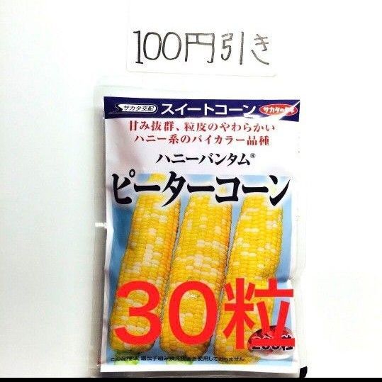 トウモロコシ ピーターコーンの種 30粒 バイカラー