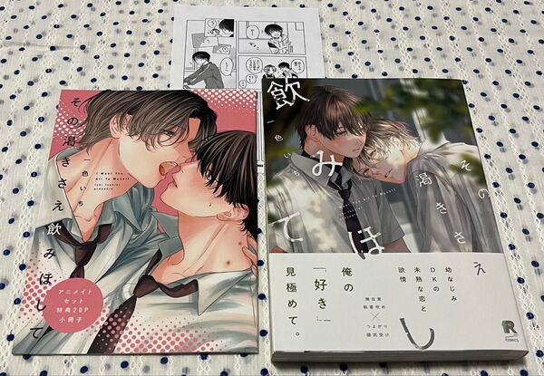 その渇きさえ飲みほして 一色いち アニメイト特典付き