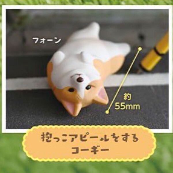 こぎさんぽ 抱っこアピールをするコーギー ガチャ カプセルトイ