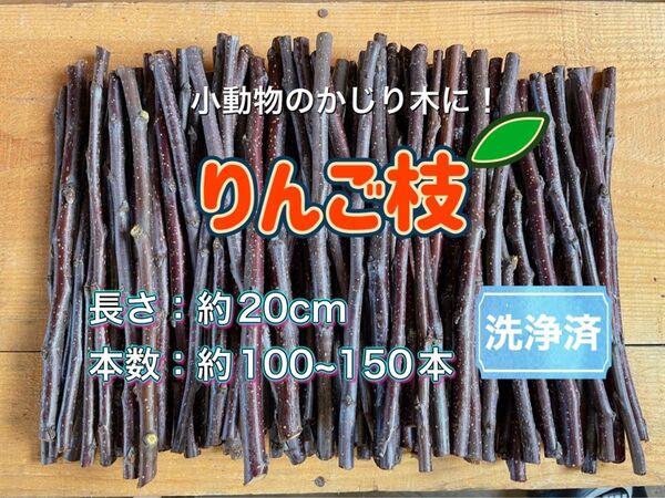 りんご枝 かじり木【太さ : 3〜10㍉,長さ : 20㌢】