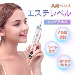 美顔ペン レーザーペン LED表示 9段階 除去 USB充電式 新品未使用 0430