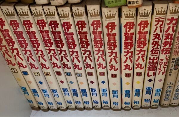 伊賀野カバ丸 全12巻+2冊 計14冊 完結