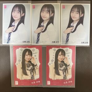 AKB48 白鳥沙怜 生写真 5枚セット OS盤