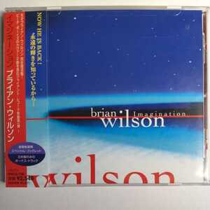 ブライアン・ウィルソン イマジネーション 国内盤帯有 brian wilson imagination