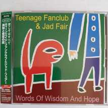 ティーンエイジ・ファンクラブとジャド・フェアー 英知と希望の詩 国内盤帯有 teenage fanclub and jad fair words of wisdom and hope_画像1