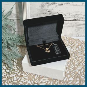 ネックレス レディース メンズ ナンバーネックレス 変色しない ジュエリー 数字 アクセサリー 4番 新品