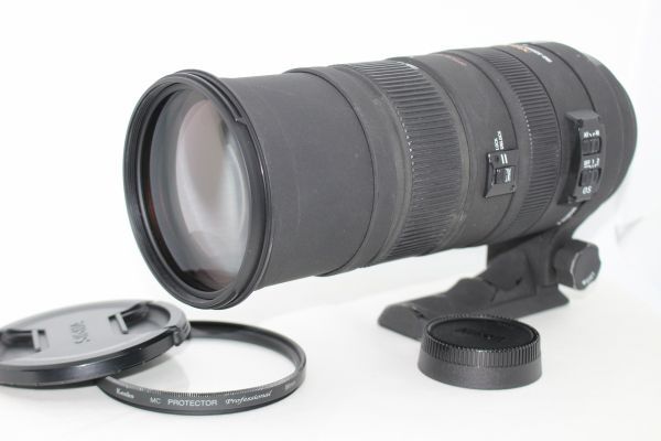 Yahoo!オークション -「sigma apo 150-500」の落札相場・落札価格 Yahoo!オークション -「sigma apo 150-500」の落札相場・落札価格