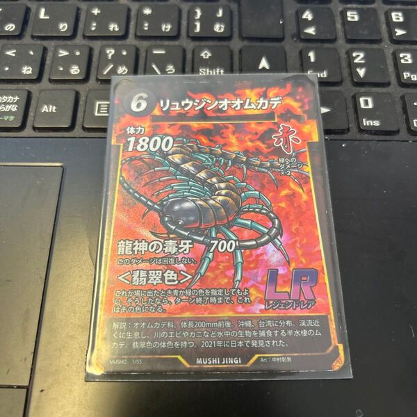 蟲神器 LR リュウジンオオムカデ