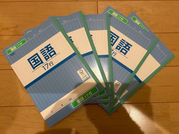 【限定1セット】訳あり 国語17行ノート セミB5 30枚60ページ 5冊セット