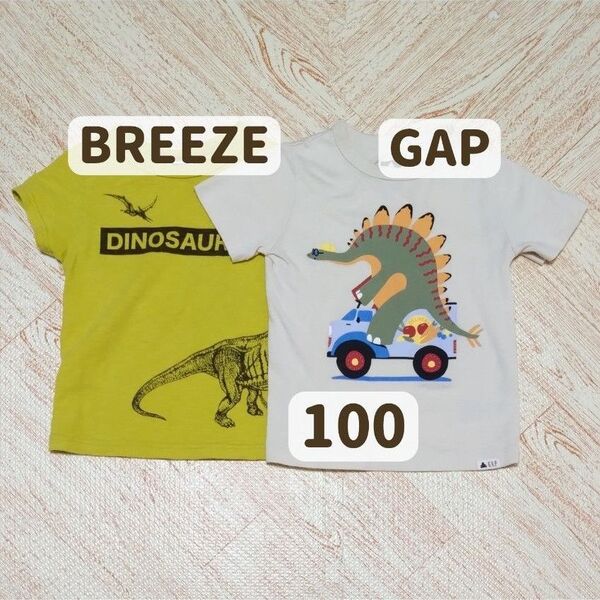GAP BREEZE 100 Tシャツ 半袖 トップス 恐竜