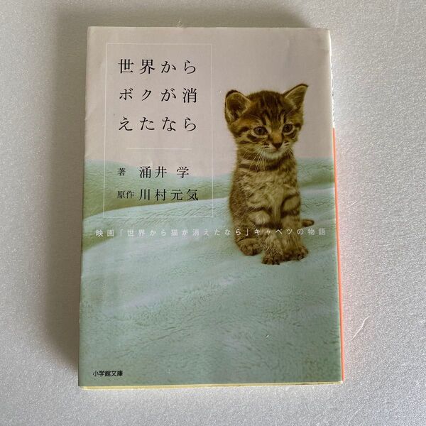 世界からボクが消えたなら ~映画「世界から猫が消えたなら」キャベツの物語~
