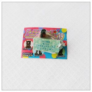送料込み【ドンフランキー】アイドルホース★ミニコレクションvol.39 プロキオンステークス