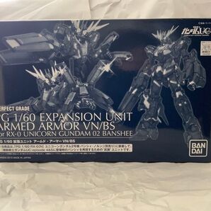 PG 1/60 拡張ユニット アームド・アーマーVN/BS
