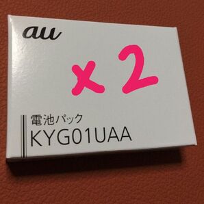 TORQUE5g 電池パック 純正 正規品 2つセット