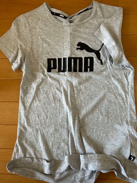 PUMA Tシャツ Mサイズ グレー