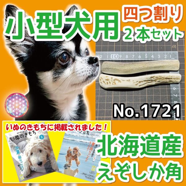 小型犬用 エゾ鹿の角 4半割り2本 北海道産 犬のおもちゃ1721