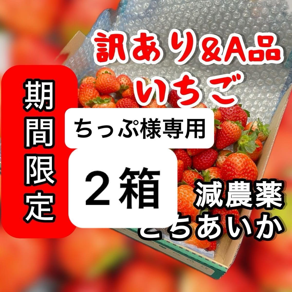 とちあいか 豆しば農園苺 農家直送品 【4月半ばあたりを目安に とちあいか 豆しば農園苺 農家直送品 【4月半ばあたりを目安に