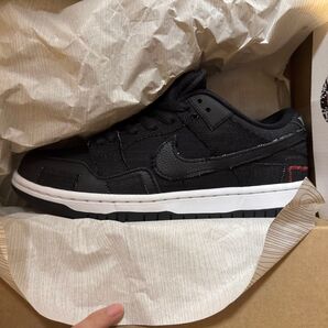 Wasted Youth × Nike SB Dunk Lowウェイステッドユース × ナイキ SB ダンク ロースペシャルBOX