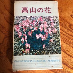 高山の花　2冊セット　高陽書院　高山植物原色図譜　函付き　本田正次　井尻正二