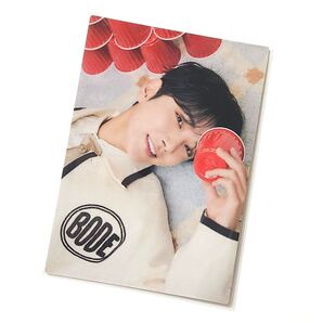 SEVENTEEN 2025 FANMEETING HOLIDAY 26 ジョシュア トレカ セブチ ペンミ フォトカード