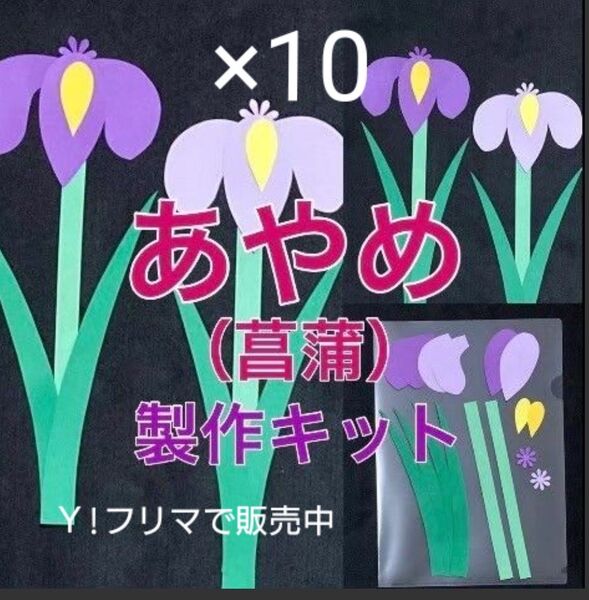 あやめ 菖蒲 製作キット 壁面飾り 春 保育 ペーパークラフト
