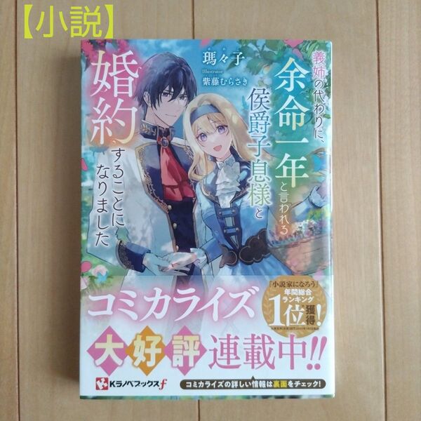 義姉の代わりに、余命一年と言われる侯爵子息様と婚約することになりました★小説 ライトノベル