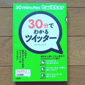 30分でわかるツイッター オブスキュアインク/著