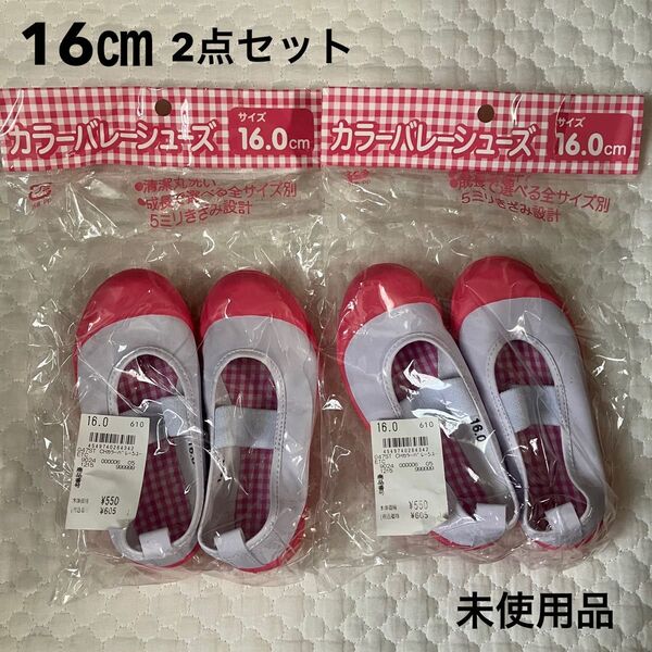 バレーシューズ 上履き 上靴 16㎝2点セット