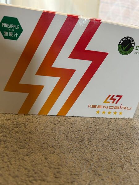 セノビル パイン味 60袋