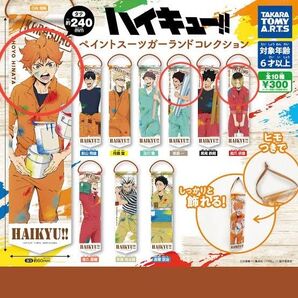 ハイキュー! ペイントスーツガーランドコレクション 3種セット